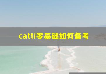 catti零基础如何备考