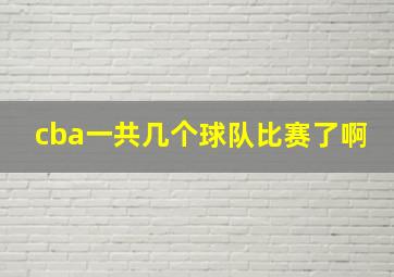 cba一共几个球队比赛了啊