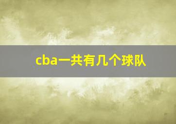 cba一共有几个球队