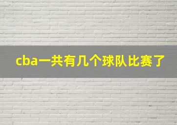 cba一共有几个球队比赛了