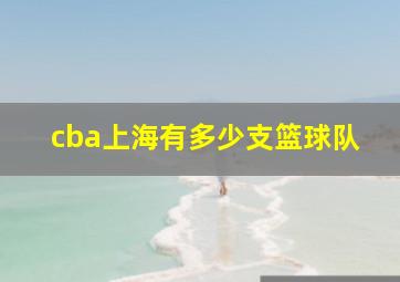 cba上海有多少支篮球队