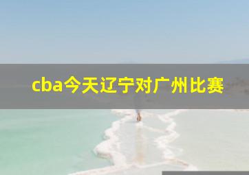 cba今天辽宁对广州比赛