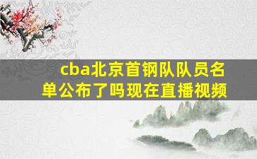 cba北京首钢队队员名单公布了吗现在直播视频