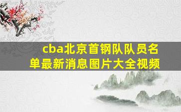 cba北京首钢队队员名单最新消息图片大全视频