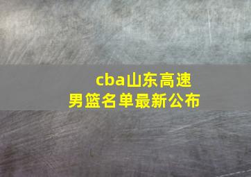 cba山东高速男篮名单最新公布