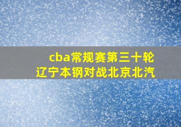 cba常规赛第三十轮辽宁本钢对战北京北汽