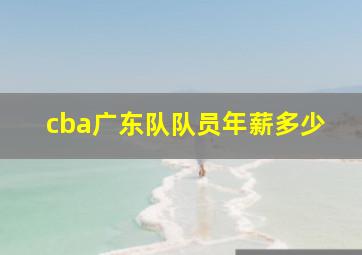 cba广东队队员年薪多少