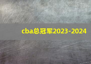 cba总冠军2023-2024