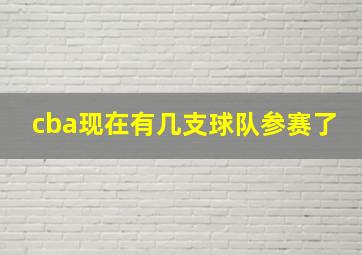 cba现在有几支球队参赛了