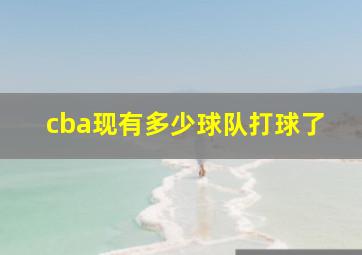 cba现有多少球队打球了