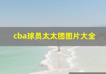 cba球员太太团图片大全