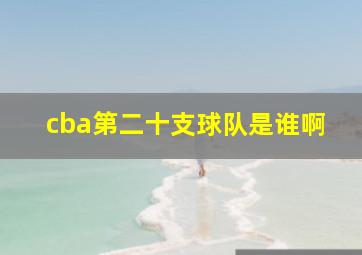 cba第二十支球队是谁啊