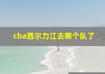 cba西尔力江去哪个队了