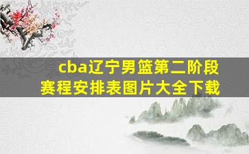 cba辽宁男篮第二阶段赛程安排表图片大全下载