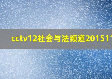 cctv12社会与法频道20151111