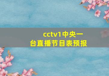 cctv1中央一台直播节目表预报