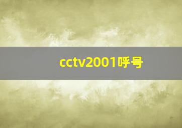 cctv2001呼号