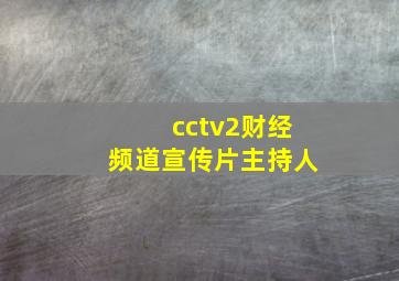 cctv2财经频道宣传片主持人