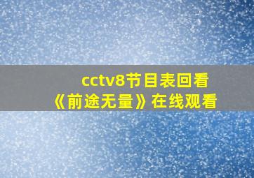 cctv8节目表回看《前途无量》在线观看