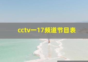 cctv一17频道节目表