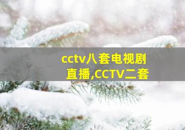 cctv八套电视剧直播,CCTV二套