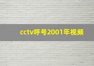 cctv呼号2001年视频