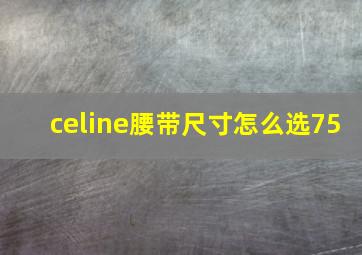 celine腰带尺寸怎么选75