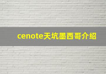 cenote天坑墨西哥介绍