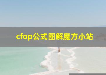 cfop公式图解魔方小站