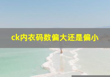 ck内衣码数偏大还是偏小