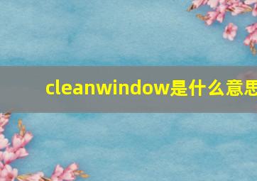 cleanwindow是什么意思