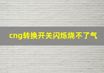 cng转换开关闪烁烧不了气