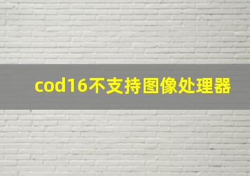 cod16不支持图像处理器