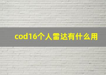 cod16个人雷达有什么用