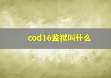 cod16监狱叫什么