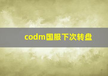 codm国服下次转盘