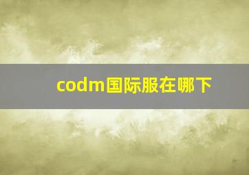 codm国际服在哪下