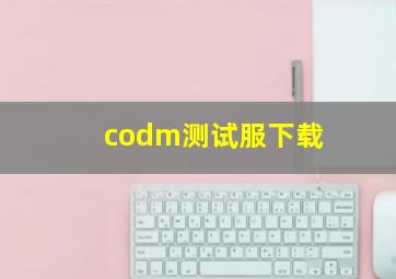 codm测试服下载