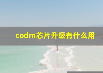 codm芯片升级有什么用