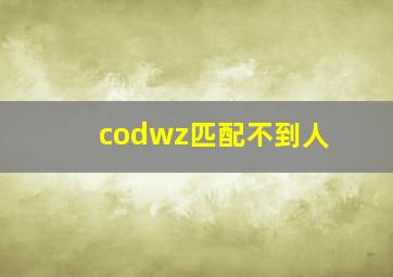 codwz匹配不到人