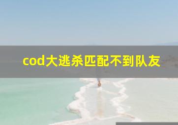 cod大逃杀匹配不到队友