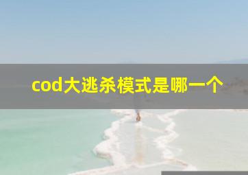 cod大逃杀模式是哪一个