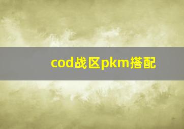 cod战区pkm搭配