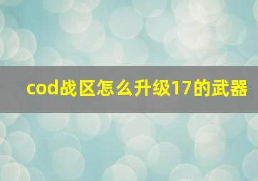 cod战区怎么升级17的武器