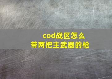 cod战区怎么带两把主武器的枪