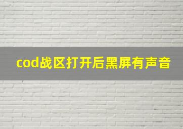 cod战区打开后黑屏有声音