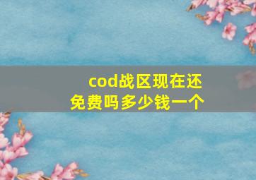 cod战区现在还免费吗多少钱一个