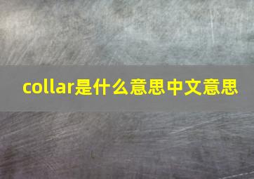 collar是什么意思中文意思