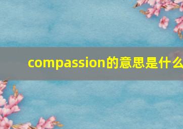 compassion的意思是什么