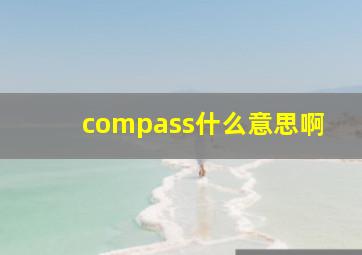 compass什么意思啊